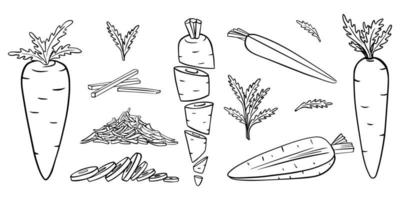 carottes dans un style doodle. collection de légumes dessinés à la main. entiers, coupés, tranchés, râpés, avec des feuilles.outline.elements sont isolés sur blanc. pour la conception d'emballages alimentaires, illustration vectorielle noir blanc vecteur