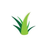 modèle d'illustration vectorielle logo aloe vera vecteur