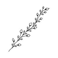 tige dessinée à la main avec des feuilles, des brindilles et de l'herbe dans un style doodle. conception d'art d'arbre. noir isolé sur des éléments blancs pour la conception vecteur