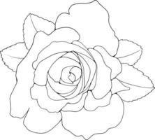 dessin au trait rose dessin au trait floral dessin au trait fleur rose illustration vectorielle pour invitation, cartes, etc. vecteur