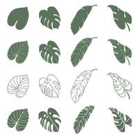 feuilles de palmier tropical vecteur, feuilles de jungle, feuille fendue, feuilles de philodendron, ensemble isolé sur fond blanc vecteur