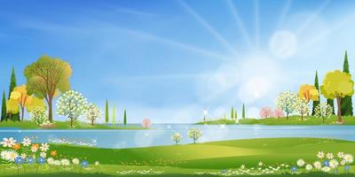 village de printemps avec champ vert au bord du lac, ciel bleu et nuages, toile de fond paysage de nature rurale au printemps avec pelouse, fleur et soleil brillant, fond de bannière de printemps et d'été vectoriel