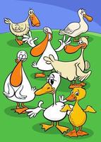 groupe de personnages d'animaux de ferme d'oiseaux de canard de dessin animé vecteur