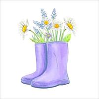 bottes en caoutchouc violet avec des fleurs . carte postale de printemps. illustration vectorielle aquarelle. vecteur