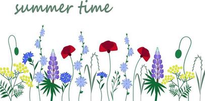 fleurs sauvages. été. coquelicots, chicorée, lupin, bleuets. illustration vectorielle