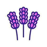 vecteur d'icône de fleur de lavande. illustration de symbole de contour isolé