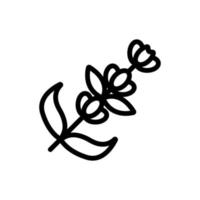 vecteur d'icône de fleur de lavande. illustration de symbole de contour isolé