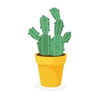 cactus épineux dans un pot de fleurs, sur fond blanc, illustration vectorielle vecteur