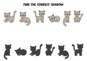 trouver les ombres correctes de chats mignons. puzzle logique pour les enfants. vecteur