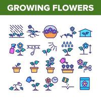fleurs en croissance plantes collection icônes définies vecteur