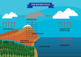 Diagramme du diagramme du cycle de l'eau vecteur