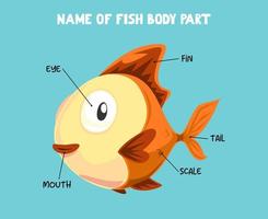 nom de la partie du corps du poisson de dessin animé mignon pour les enfants en anglais vecteur