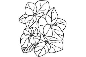 l'hortensia dessiné en contour noir est destiné au tatouage, à la carte, à l'impression, à l'étiquette, au logo, à la saint-valentin, au 8 mars, à la coloration et vous pouvez l'utiliser dans différents cas vecteur