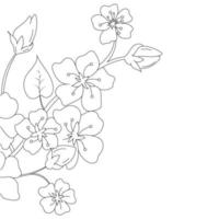 dessin au trait fleur, illustration florale vecteur