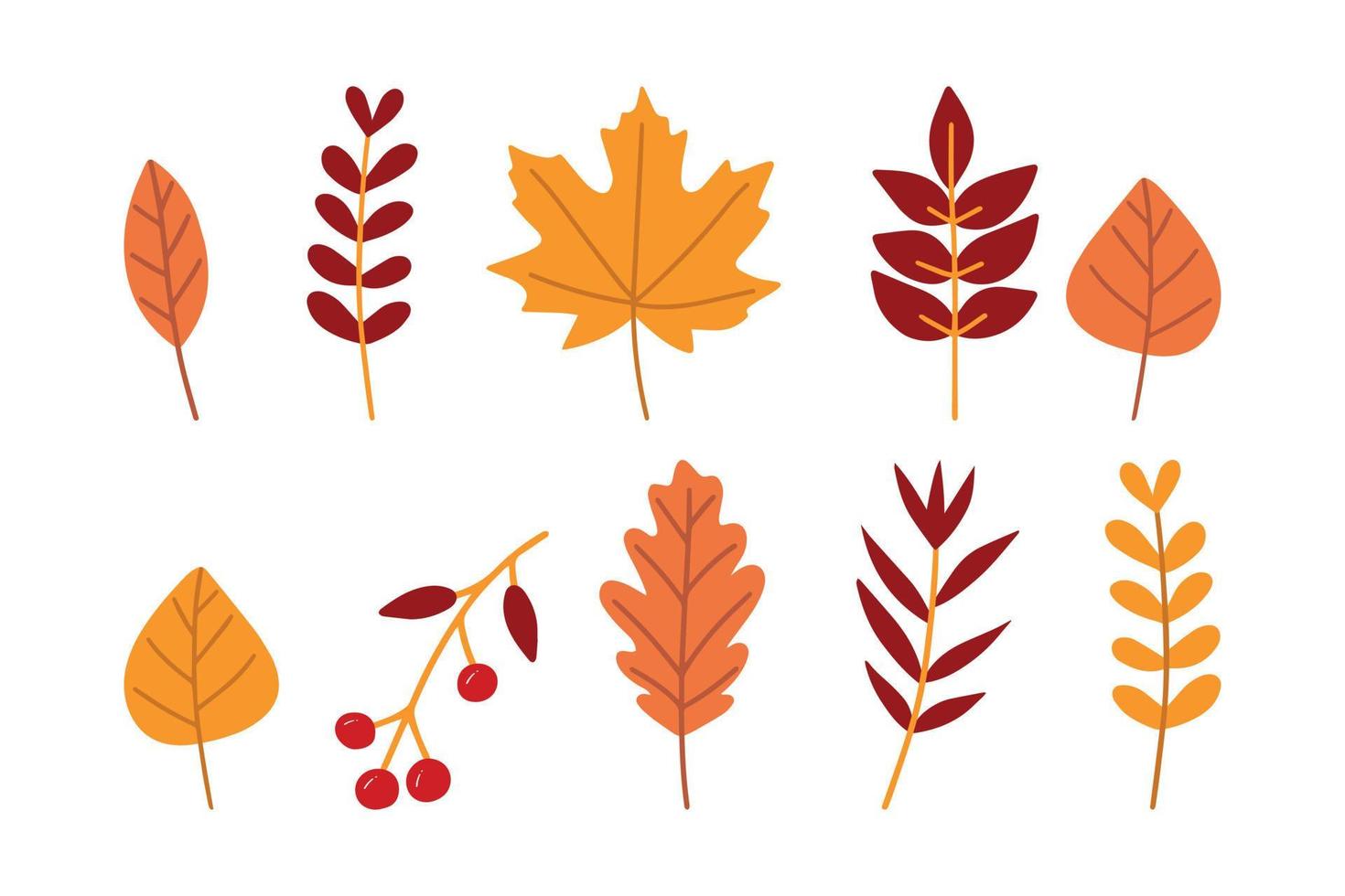 folhas de outono conjunto isolado em um fundo branco. estilo simples dos desenhos animados simples, ilustração vetorial. vetor