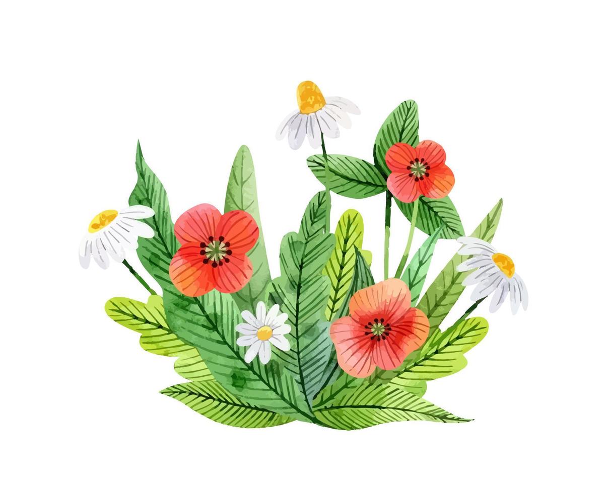 buquê de aquarela com margarida, papoula e folhas lindas flores silvestres vetor