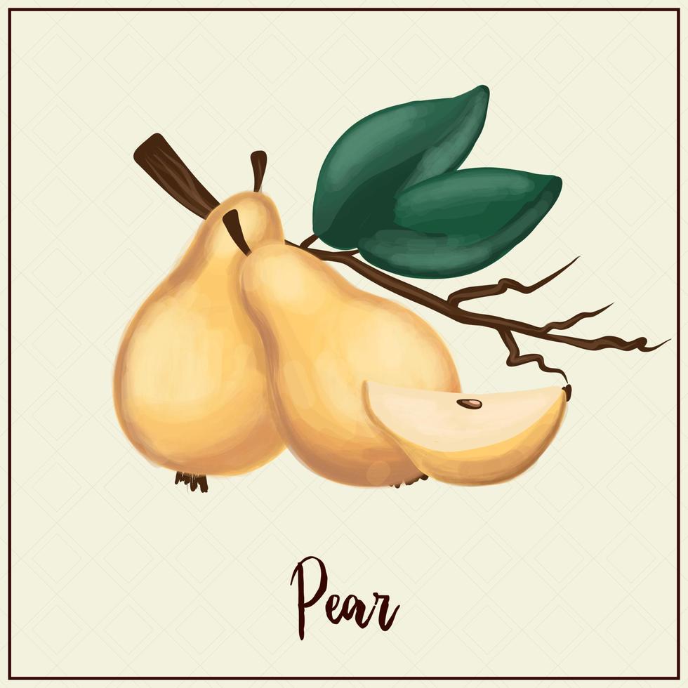 cartão de frutas. peras. desenhadas peras amarelas. ilustração vetorial. fazenda jardinagem frutas exóticas vetor