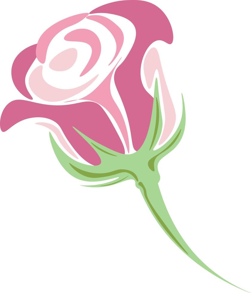ilustração de uma rosa vetor