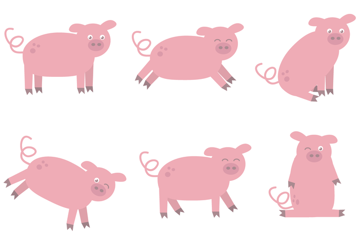Vetor de porco grátis