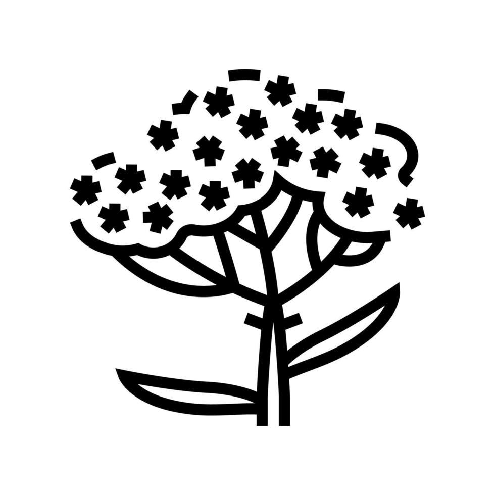 ilustração vetorial de ícone de linha de planta yarrow vetor