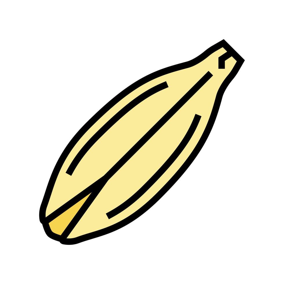 ilustração em vetor ícone de cor de semente de cevada