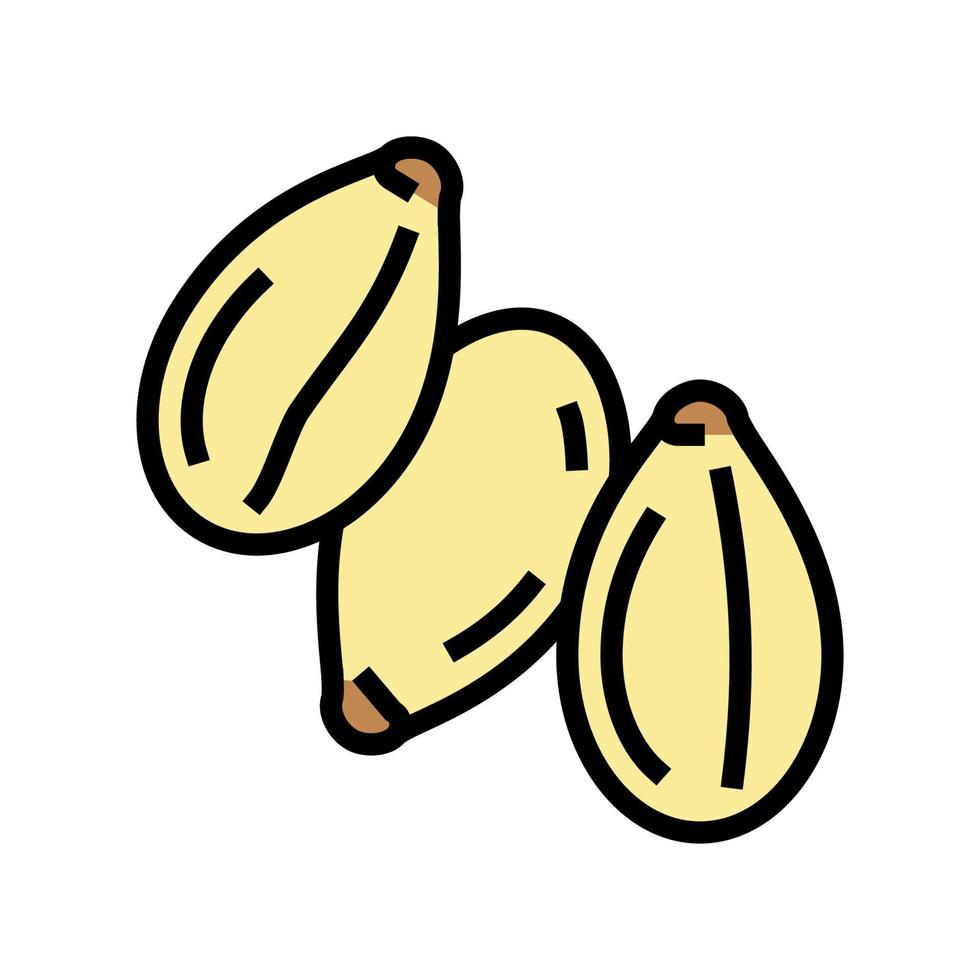 ilustração em vetor ícone de cor de semente de gergelim