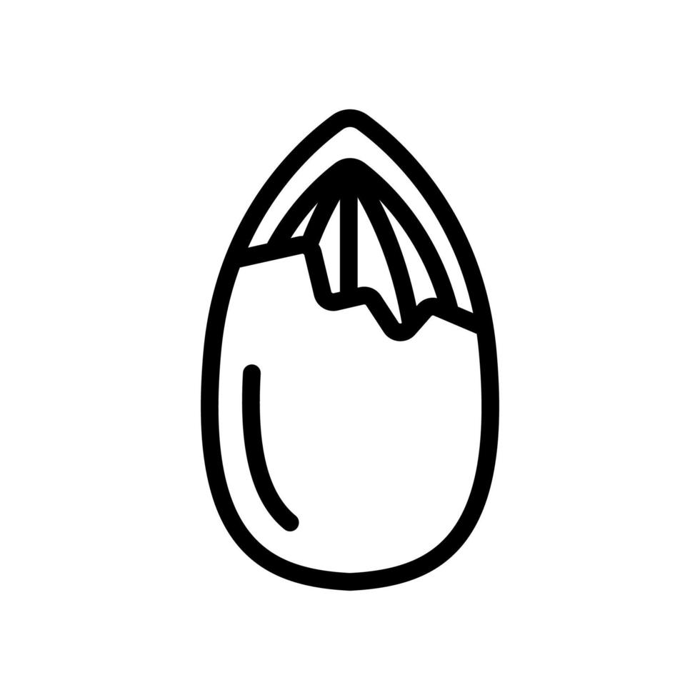ilustração de contorno de vetor de ícone de noz fresca de amêndoa