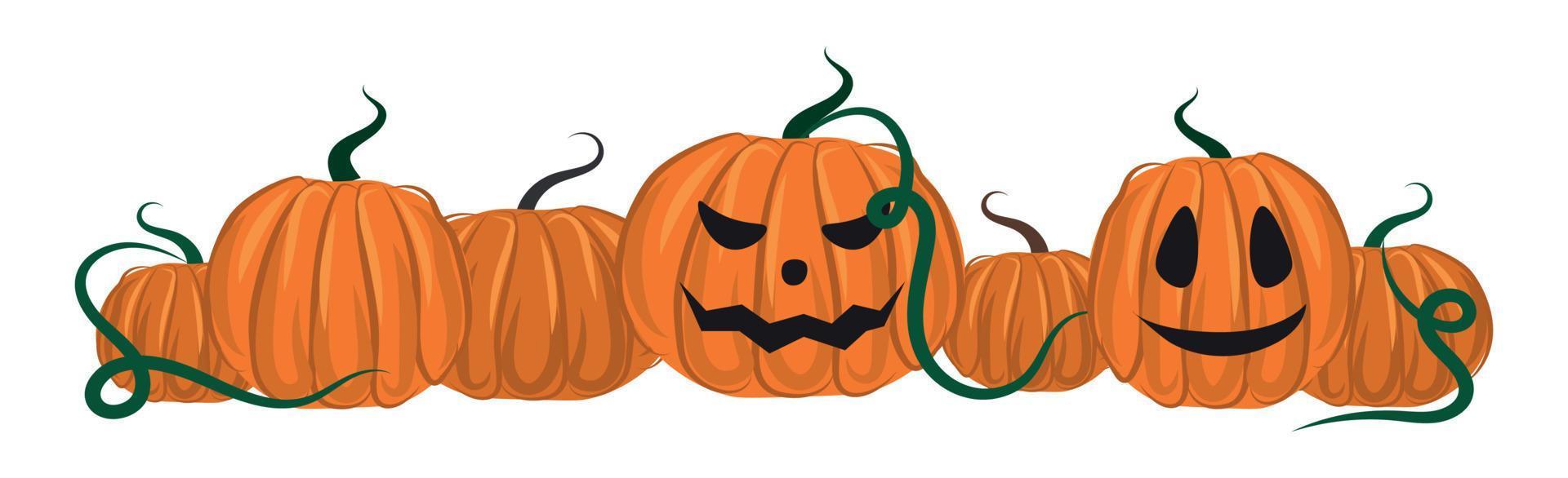 saudação de halloween dos mortos, abóboras laranja em um fundo branco - vetor