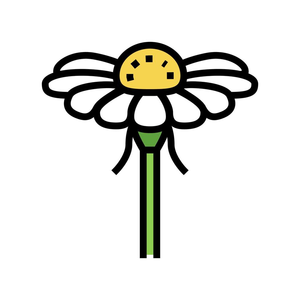 ilustração em vetor ícone de cor de botão de flor de camomila