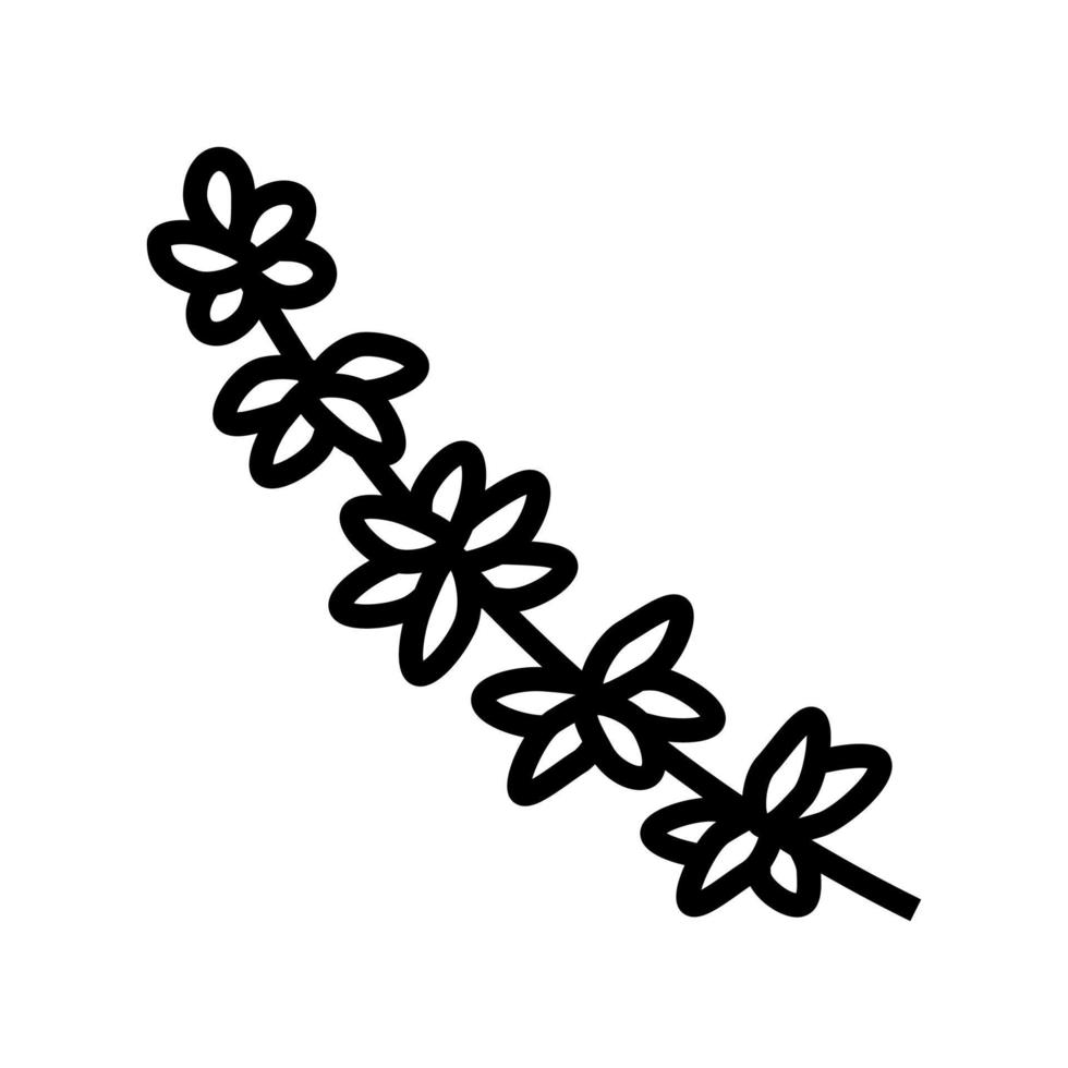 ilustração vetorial de ícone de linha de ramo de tomilho vetor