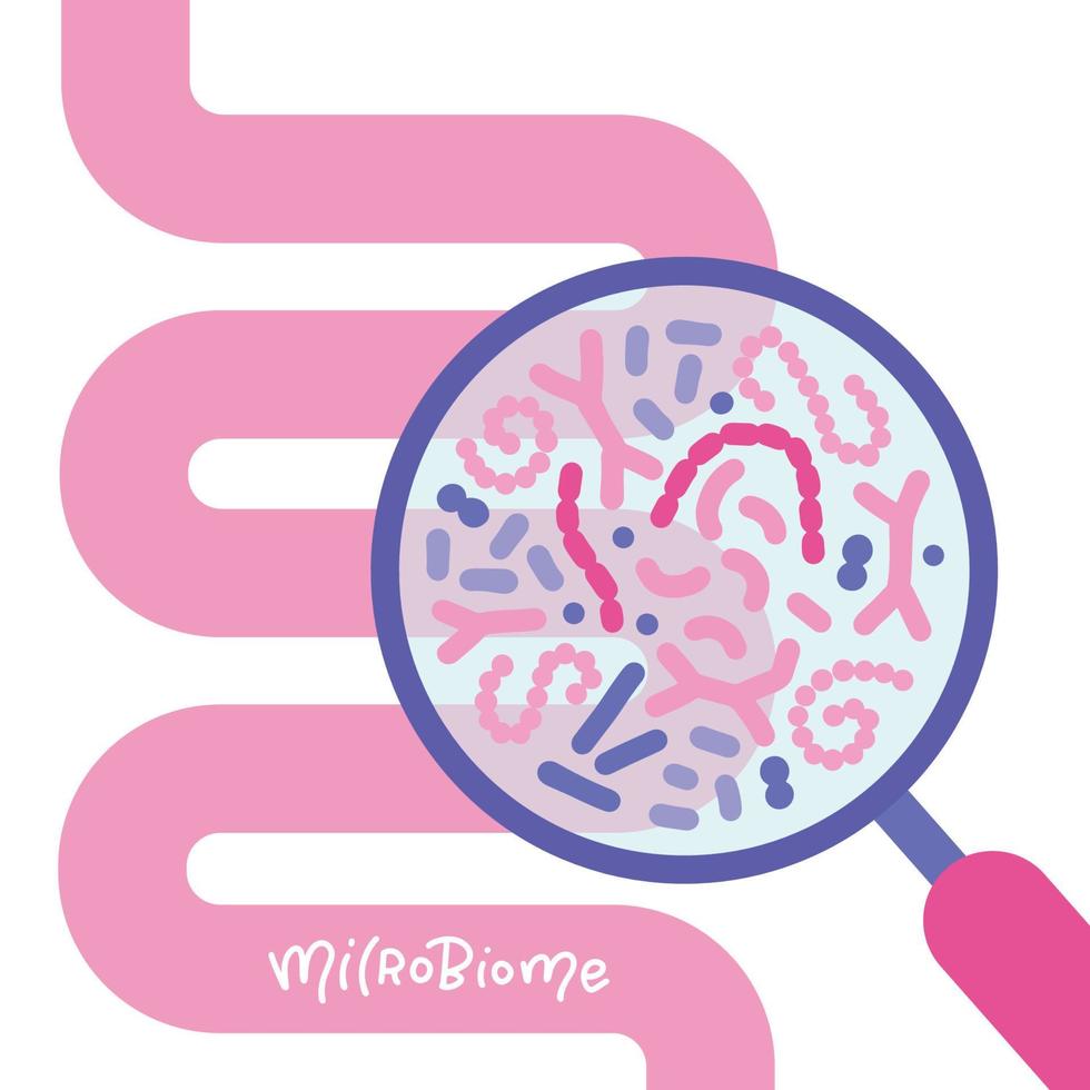 intestino humano abstrato e lupa. conceito de microbioma intestinal. sibo, síndrome do intestino permeável e crescimento de candida. ilustração em vetor plana isolada no fundo branco.