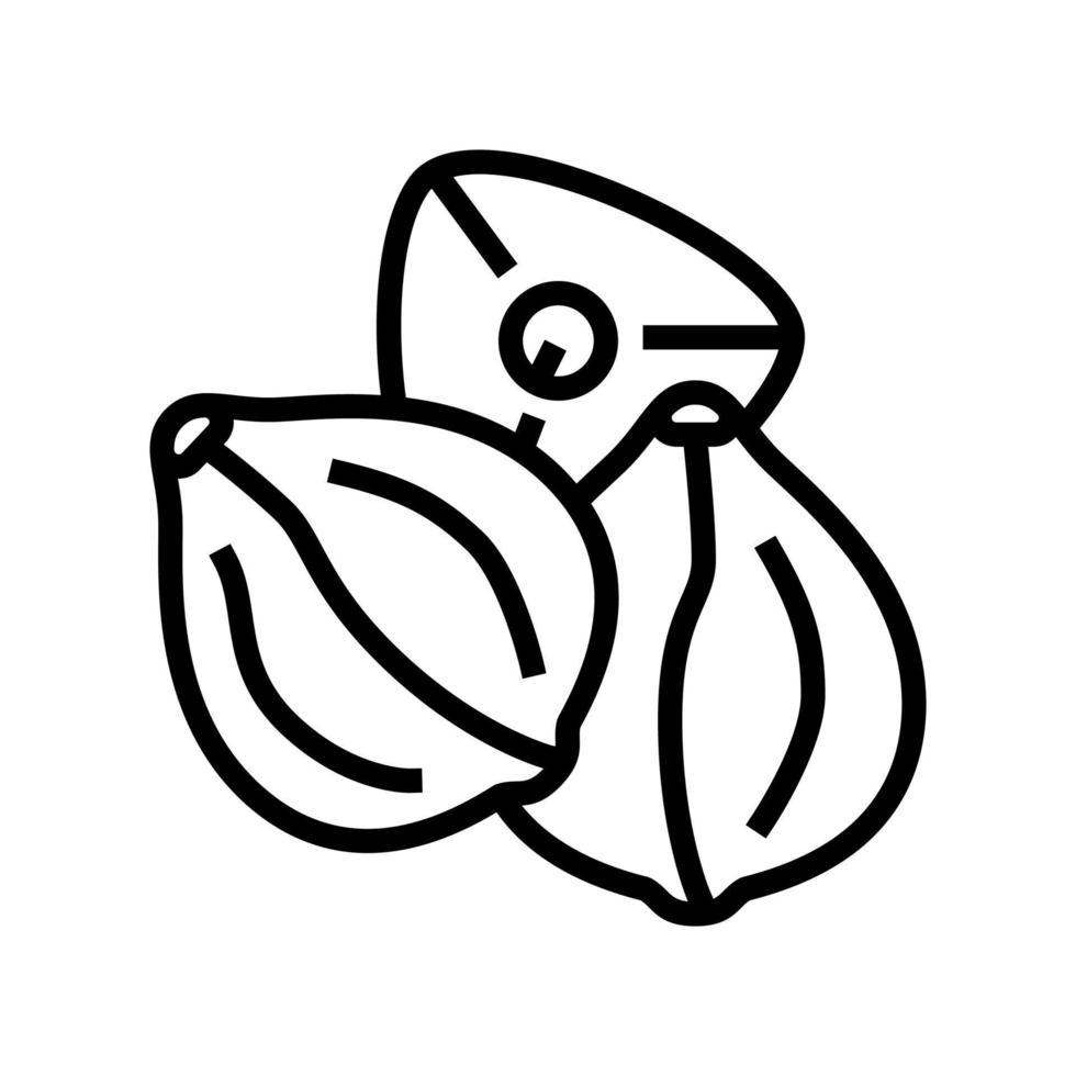 ilustração em vetor ícone de linha de semente de trigo sarraceno