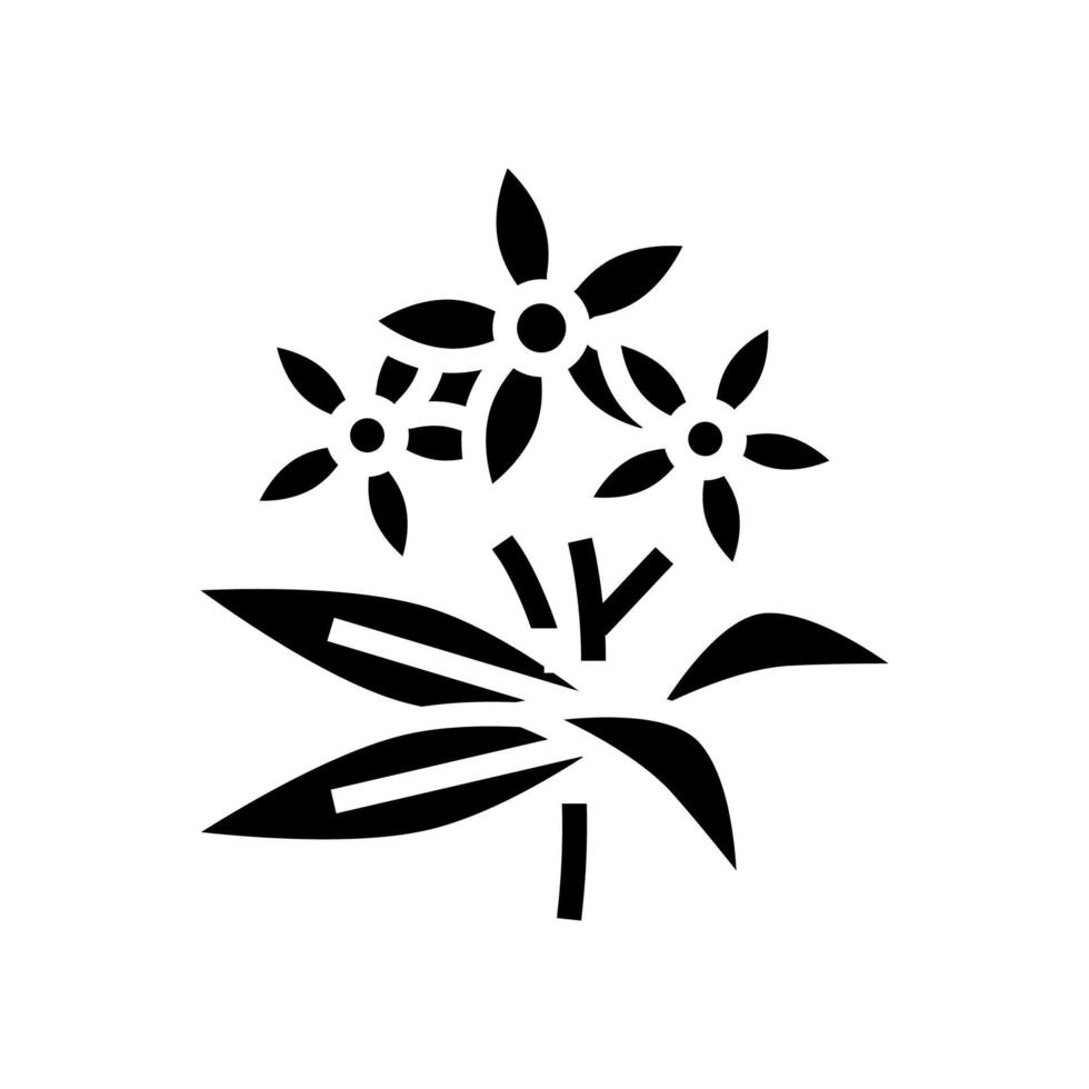 neroli flores aromaterapia ícone glifo ilustração vetorial isolado vetor