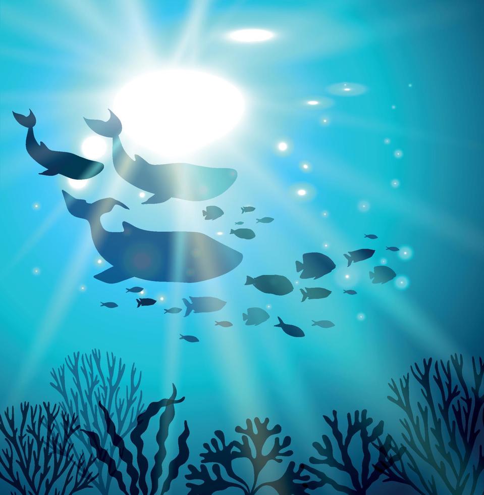 linda baleia azul, golfinho, peixes e corais. dia mundial do oceano 8 de junho. cartaz quadrado tropical com paisagem do mundo subaquático e animais marinhos. ilustração vetorial para design, decoração, flyer. vetor