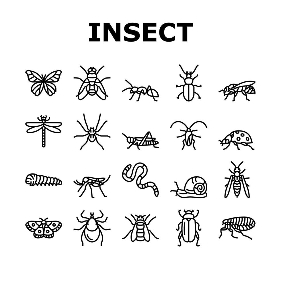 conjunto de ícones de animais selvagens de insetos, aranhas e insetos vetor