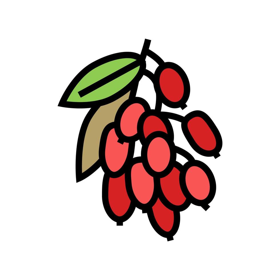 goji berry e folhas ilustração vetorial de ícone de cor vetor