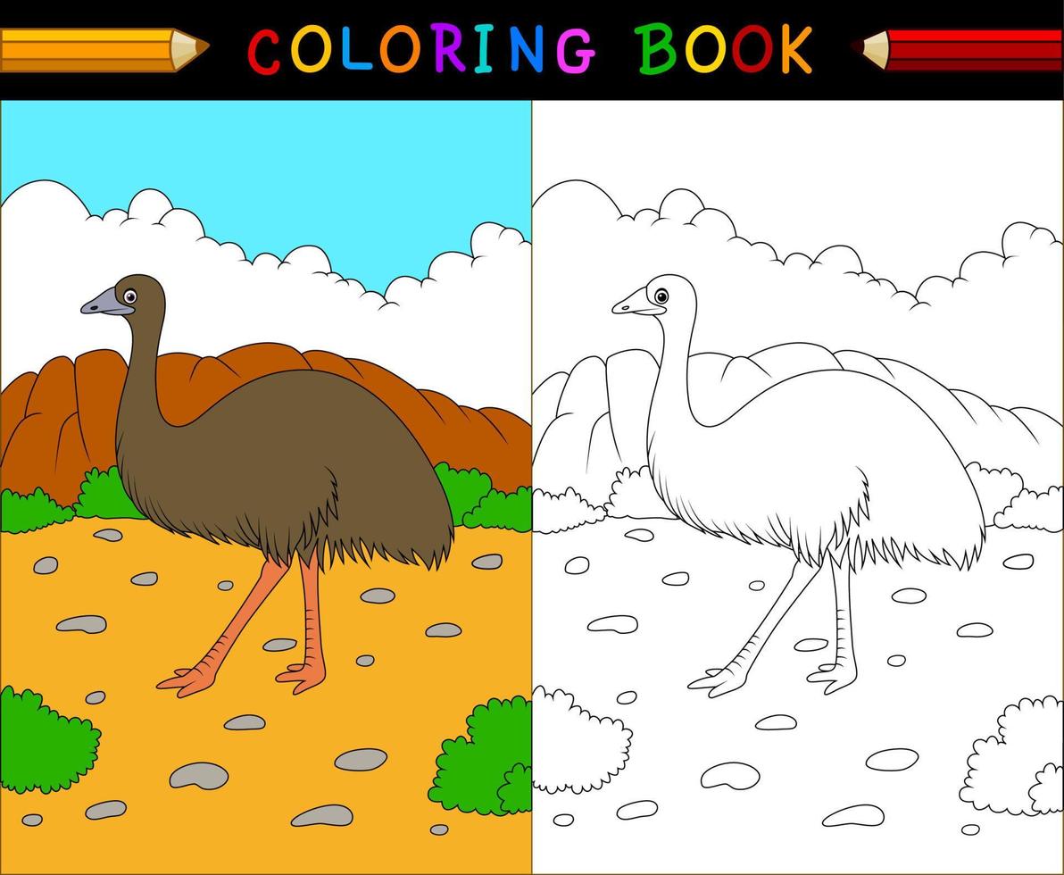 livro de colorir emu dos desenhos animados, série de animais australianos vetor