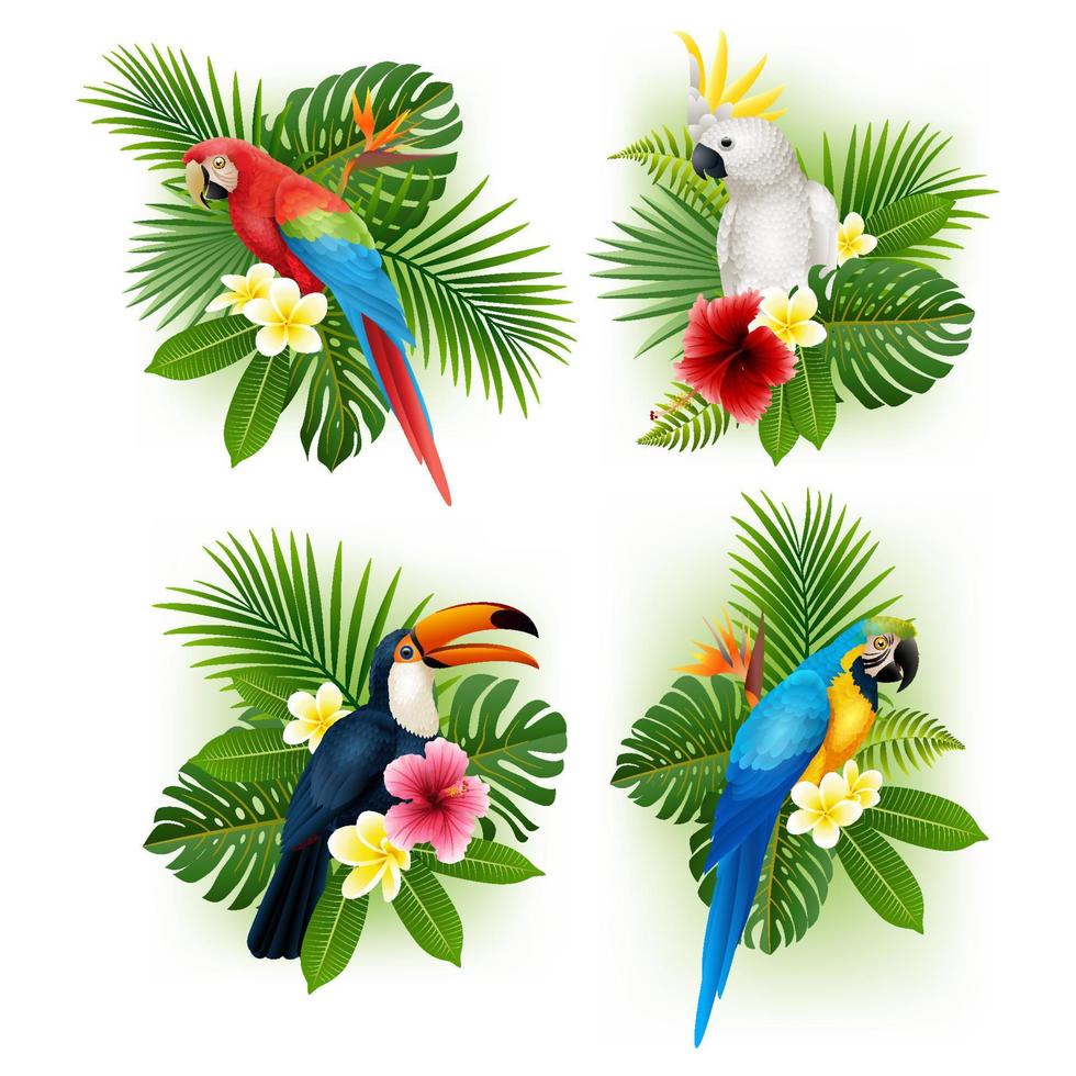 conjunto de coleta de flores e pássaros tropicais vetor