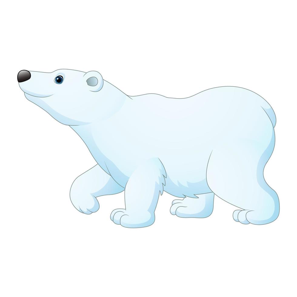 urso polar de desenho animado isolado no fundo branco vetor