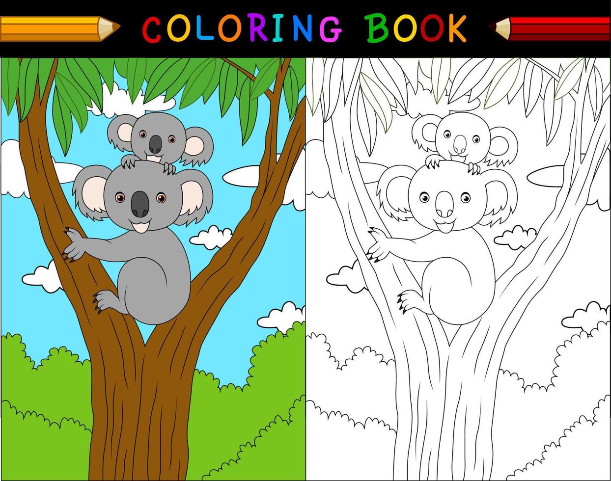 livro de colorir coala dos desenhos animados, série de animais australianos vetor