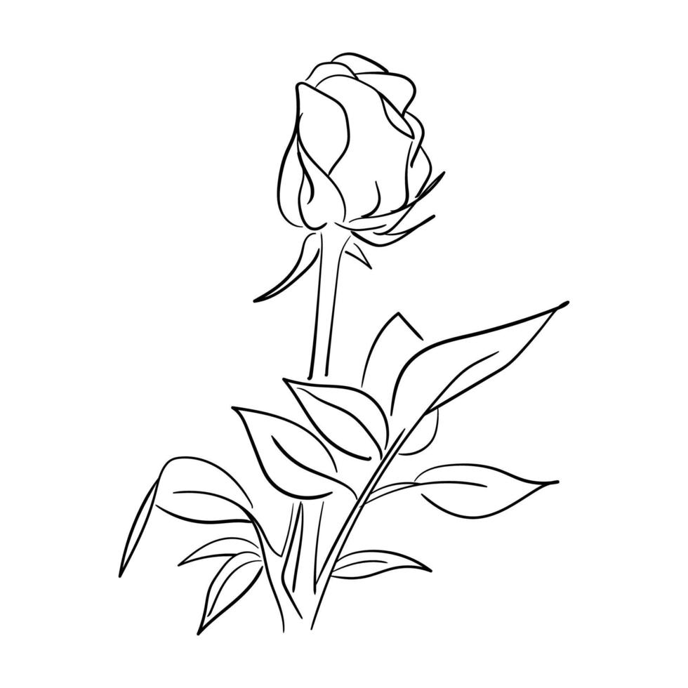 arte de linha desenhada à mão ilustração em vetor flor rosa