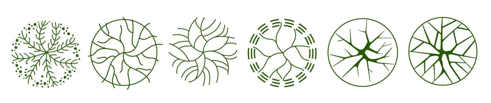 árvore para plantas arquitetônicas. projeto de comitiva. várias árvores, arbustos e arbustos, vista superior para o plano de projeto paisagístico. vetor