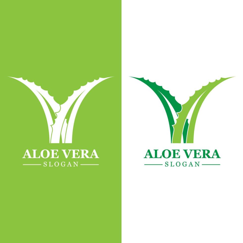 planta verde aloe vera logotipo vetor ícone símbolo muitos benefícios