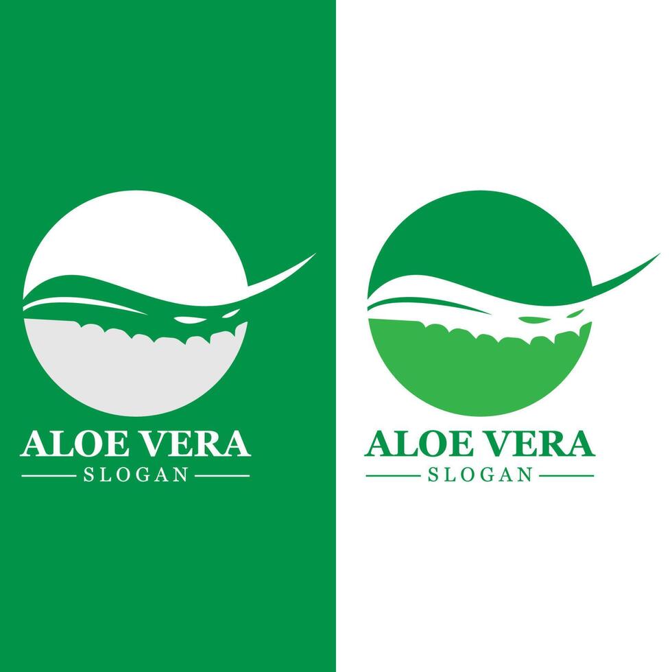 planta verde aloe vera logotipo vetor ícone símbolo muitos benefícios