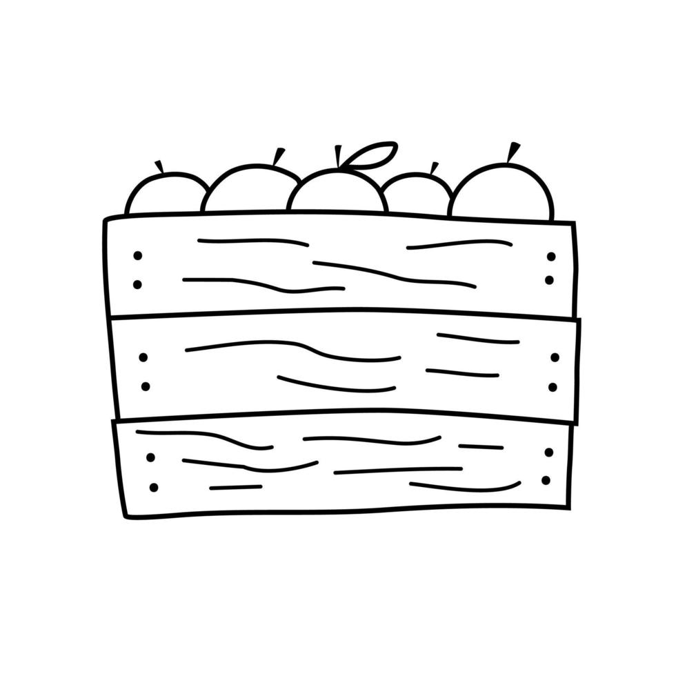 caixa de madeira com maçãs em estilo doodle. vetor