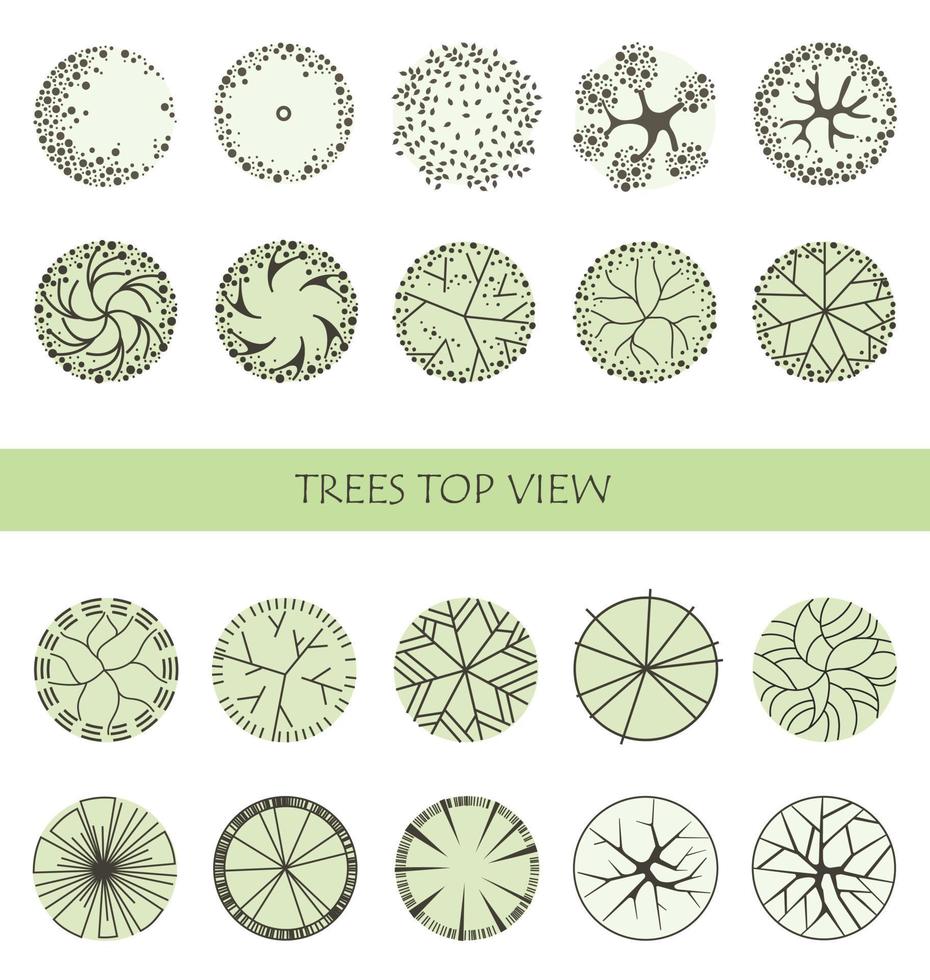 árvore para plantas arquitetônicas. projeto de comitiva. várias árvores, arbustos e arbustos, vista superior para o plano de projeto paisagístico. vetor