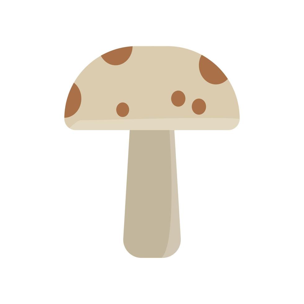 ilustração de cogumelo fungos fungo planta natural agárico vetor