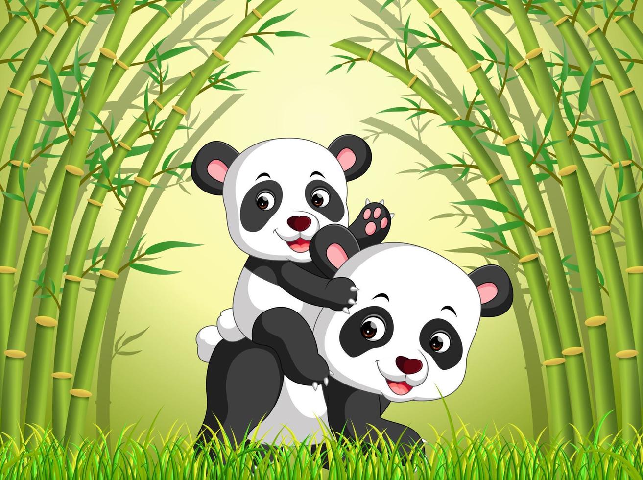 dois pandas bonitos em uma floresta de bambu vetor