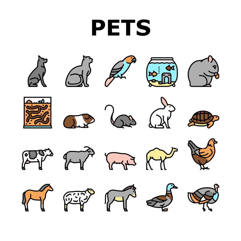 animais de estimação conjunto de ícones de coleção de animais domésticos vetor