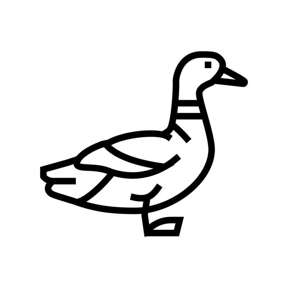 ilustração vetorial de ícone de linha de pássaro de pato vetor